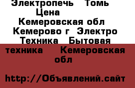 Электропечь “ Томь“ › Цена ­ 2 000 - Кемеровская обл., Кемерово г. Электро-Техника » Бытовая техника   . Кемеровская обл.